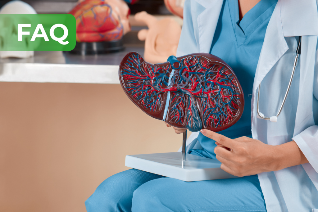 Liver Transplant FAQs